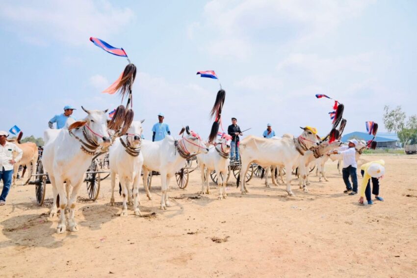 Saly kolleun cart race 2026 in kampong speu drives sports tourism - travel and tour world