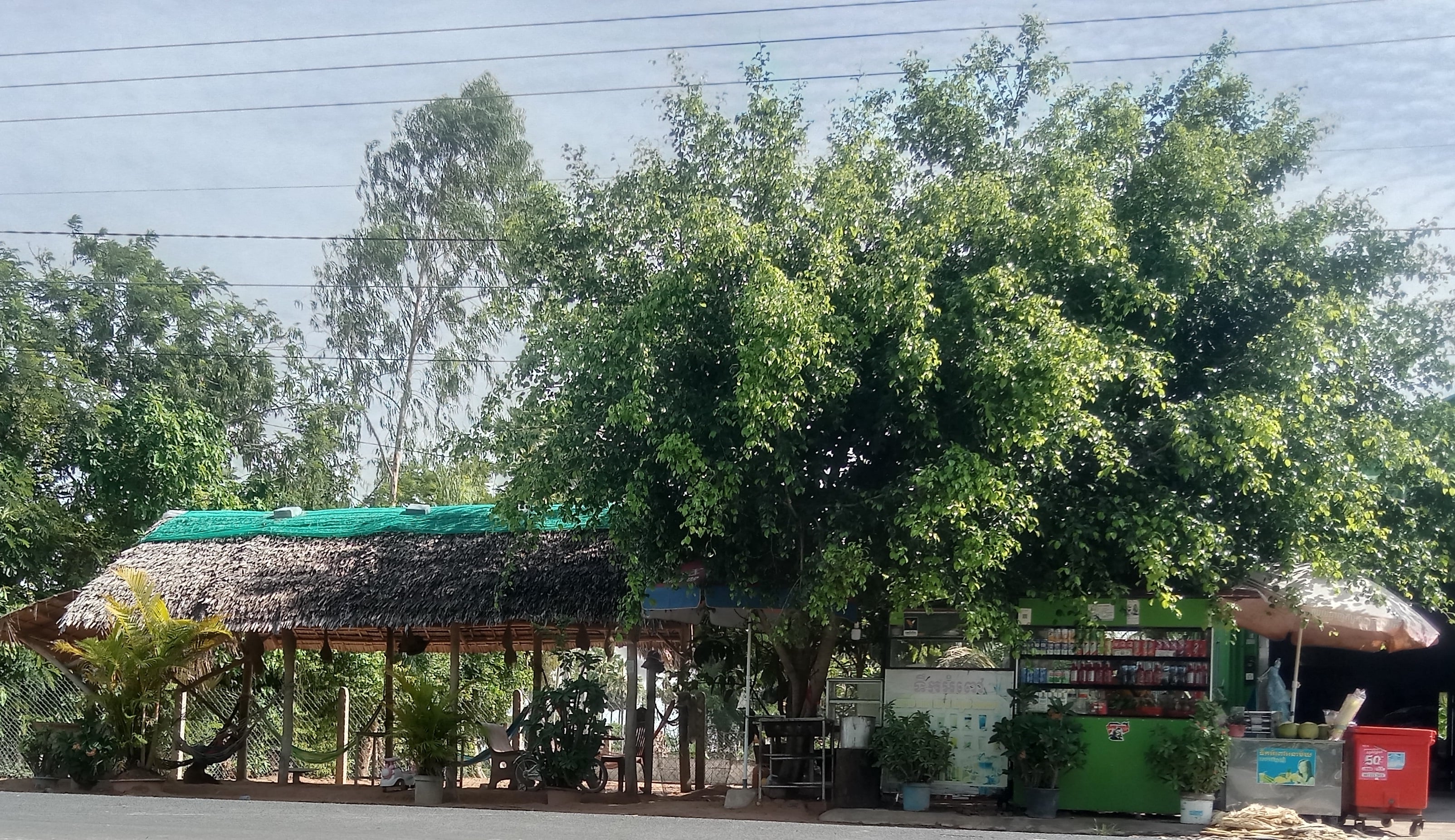 ហិរញ្ញប្បទាន LOLC Cambodia គាំទ្រដល់កំណើនអាជីវកម្មរបស់គ្រួសារខេត្តព្រៃវែង